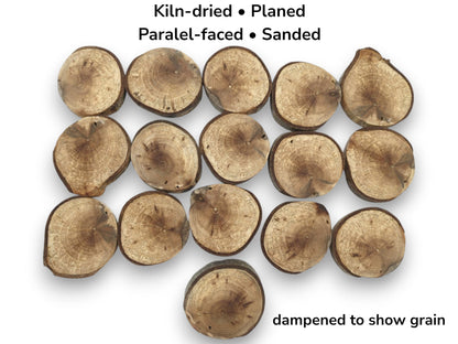 An overhead view of sixteen dampened wood rounds showing detailed annual rings and dark bark.