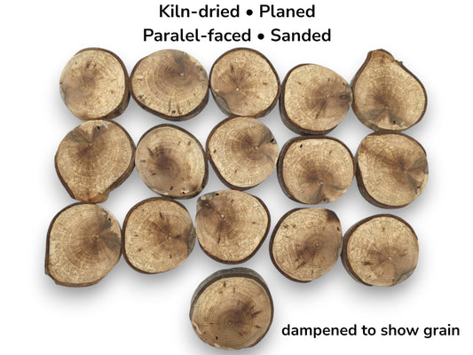 An overhead view of sixteen dampened wood rounds showing detailed annual rings and dark bark.