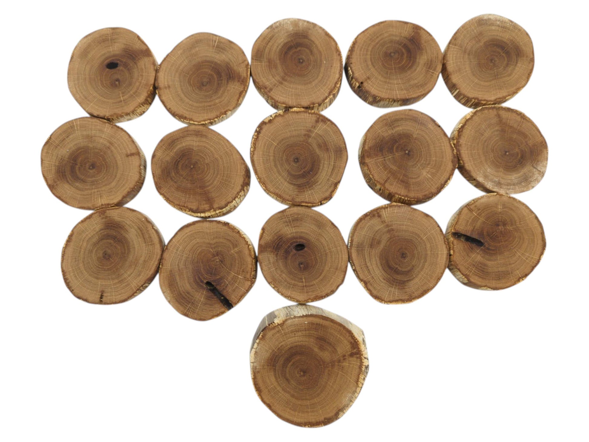 Sixteen irregular oak rounds with visible concentric rings and dark fissures against a white background.