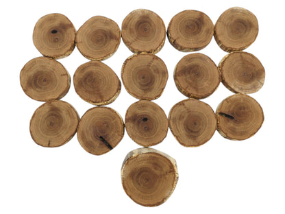 Sixteen irregular oak rounds with visible concentric rings and dark fissures against a white background.