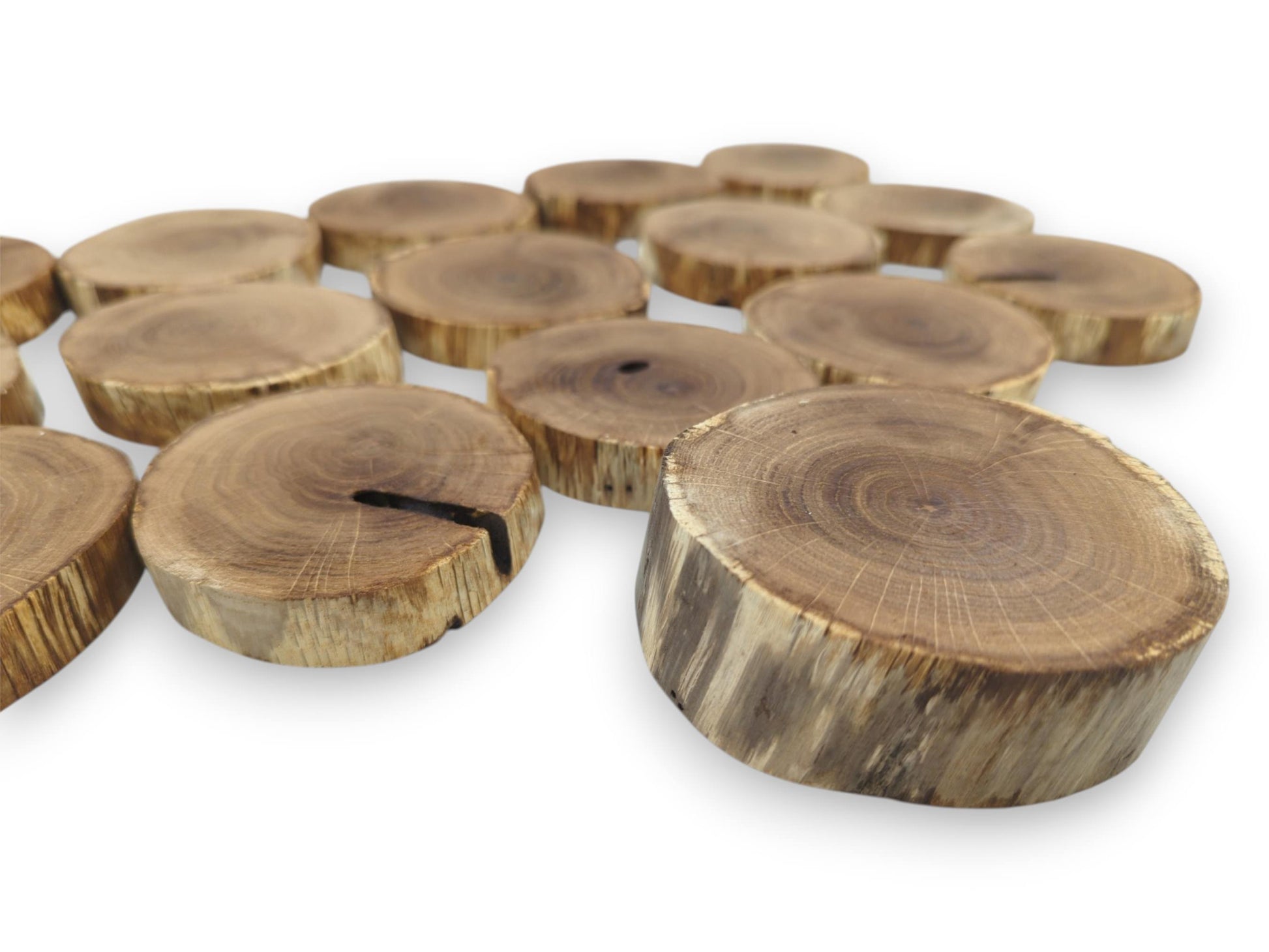 A low-angle view across scattered timber rounds, revealing growth rings and a deep fissure.