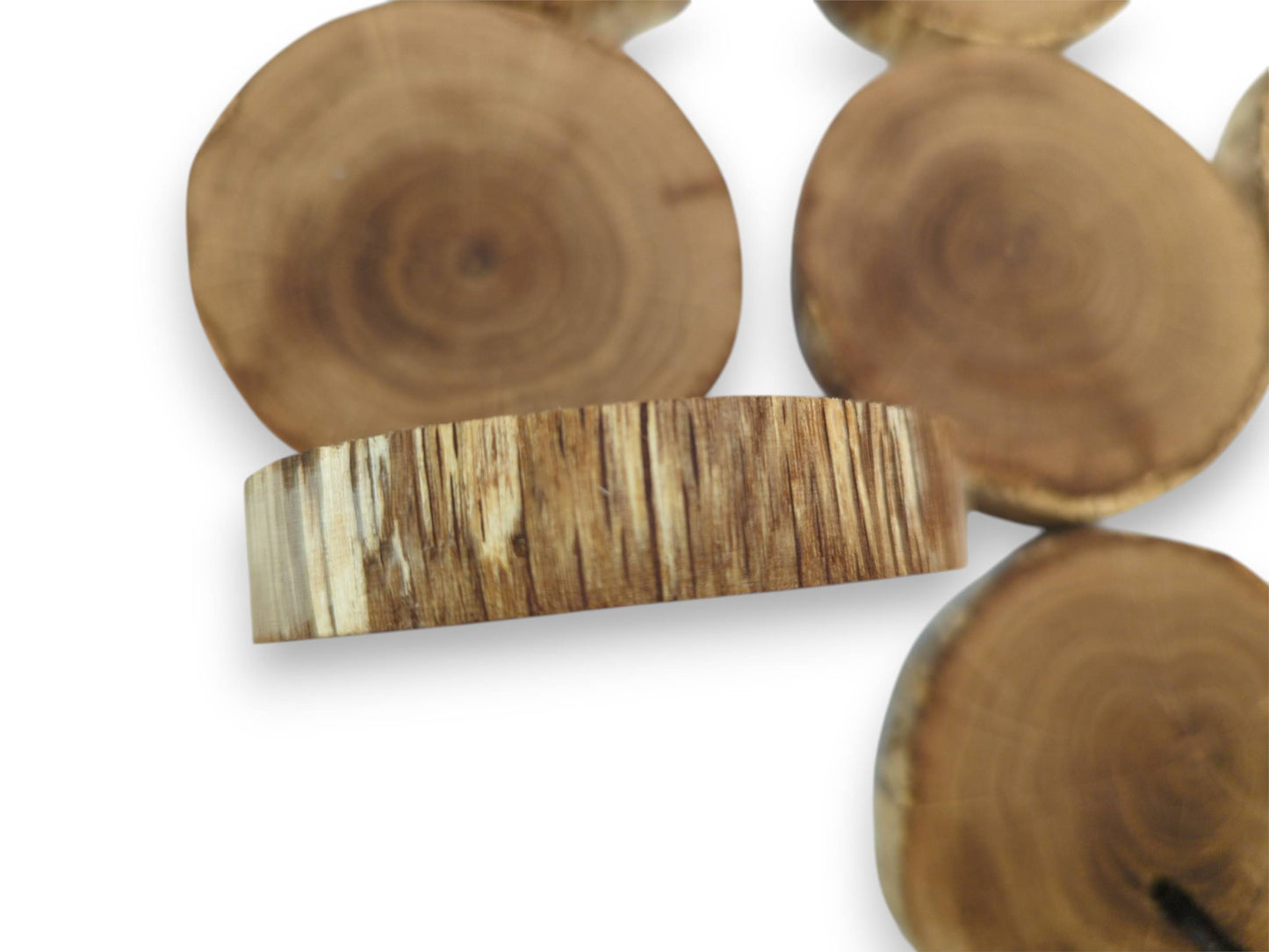 An oak cross-section rests on its side, showing striped grain before blurred, ringed discs.