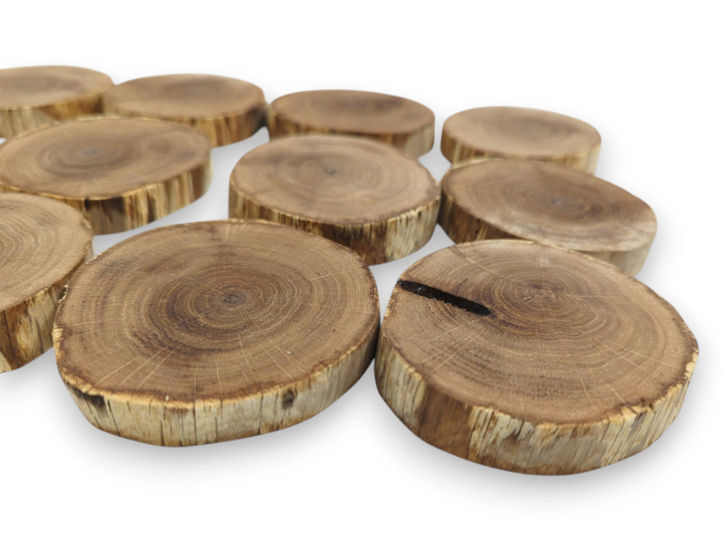 A low-angle view across raw timber rounds reveals concentric grain and a dark split.