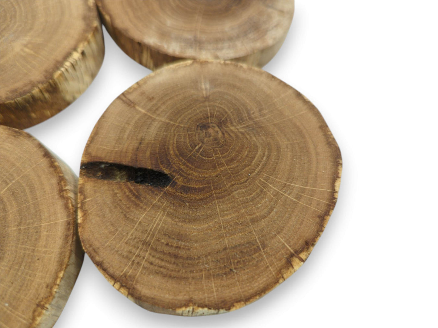 Overlapping oak discs on white show concentric growth rings and a dark, linear fissure.