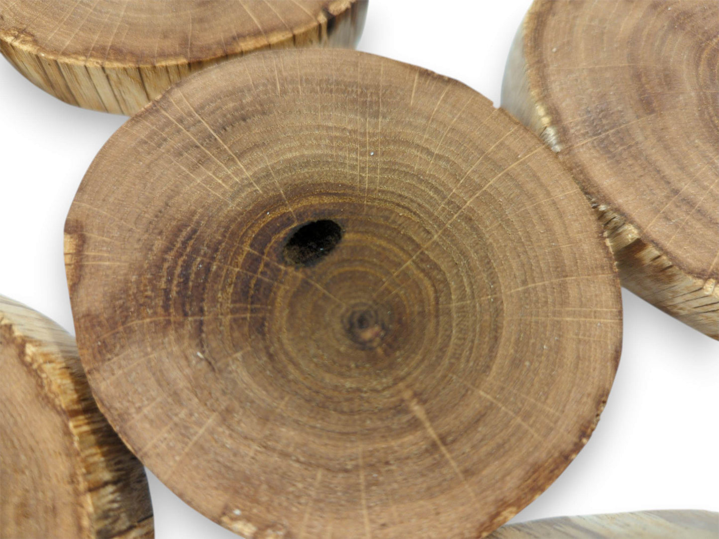 An overhead view focuses on a timber disc's concentric rings and a dark, hollow knot.