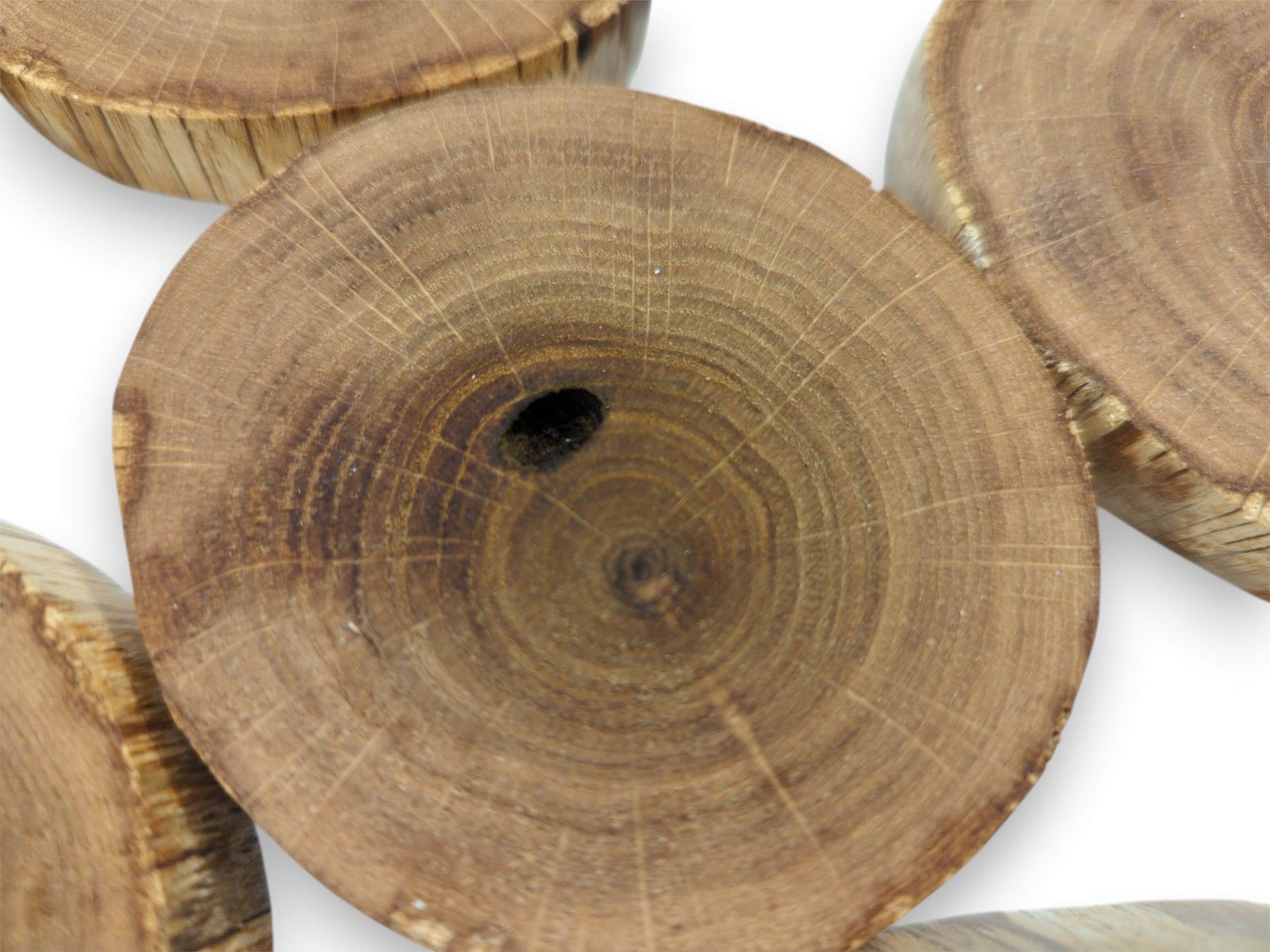 An overhead view focuses on a timber disc's concentric rings and a dark, hollow knot.
