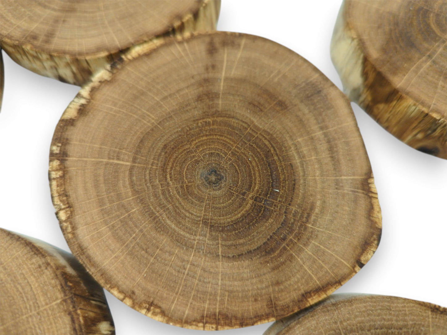An overhead shot of a central oak cookie reveals a dark core and radiating lines.