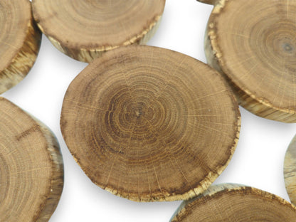 A central oak roundel with fine growth rings is surrounded by other timber cuts.