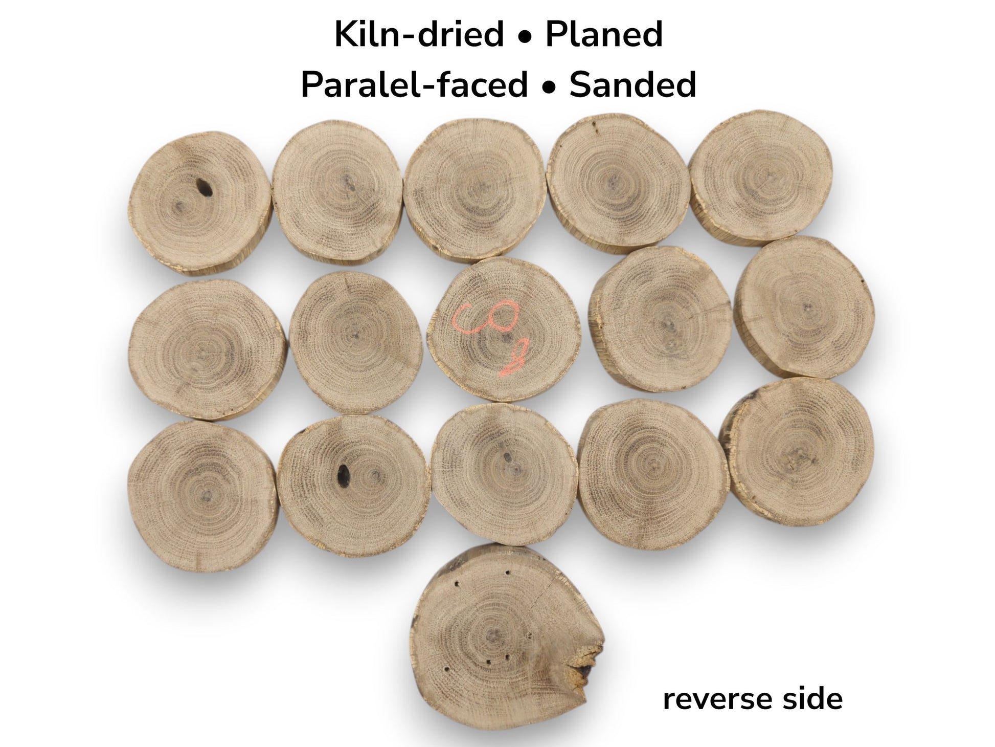 Raw, sanded wood cookies with visible end grain, knots, and a single orange marking.