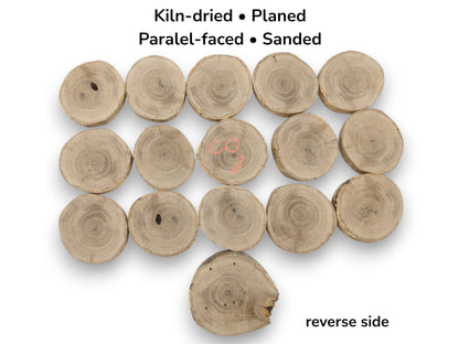 Raw, sanded wood cookies with visible end grain, knots, and a single orange marking.