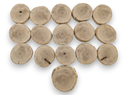 Sixteen circular oak cross-sections arranged in rows display their detailed annual growth rings.