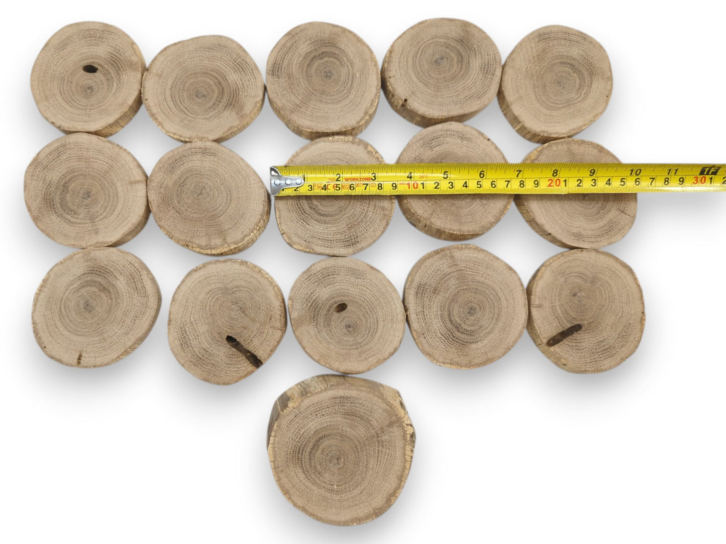 A yellow tape measure stretches across a row of sixteen circular oak cross-sections on white.