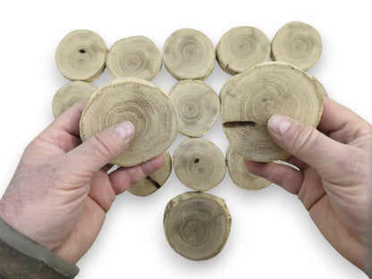 A first-person view of hands holding two raw timber discs above others on white.