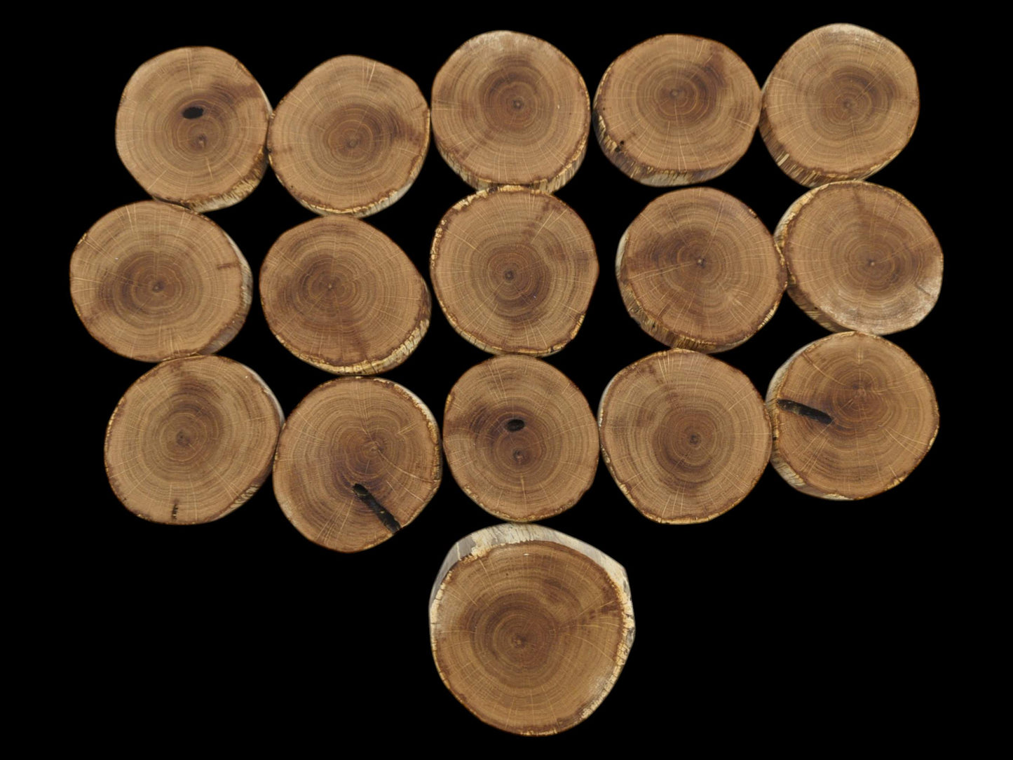 A flat lay of sixteen circular timber discs showing detailed end grain against a black backdrop.