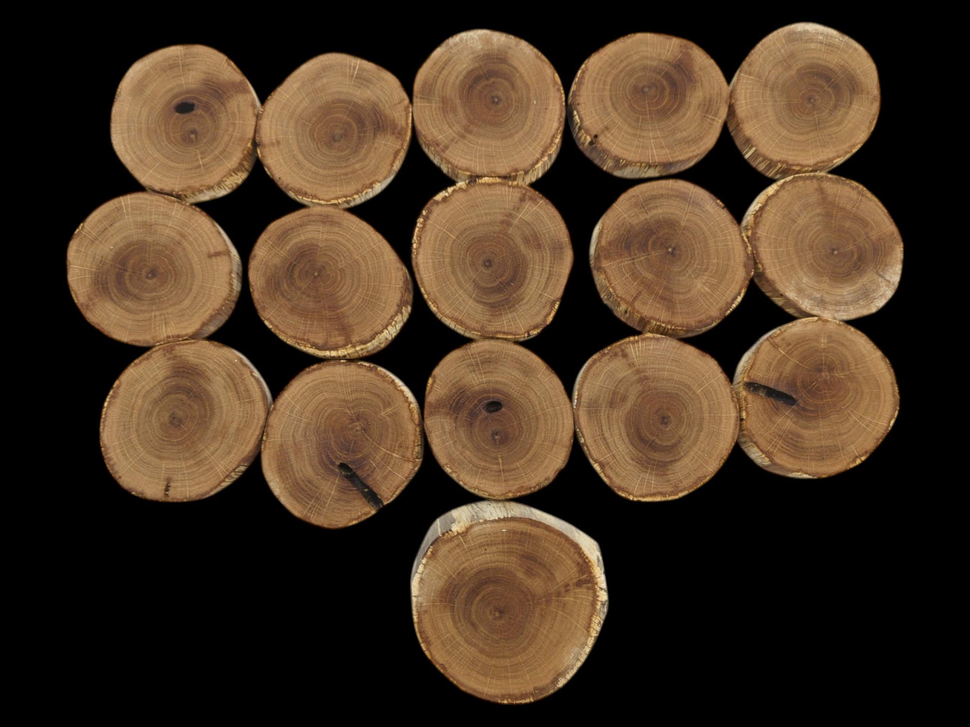 A flat lay of sixteen circular timber discs showing detailed end grain against a black backdrop.