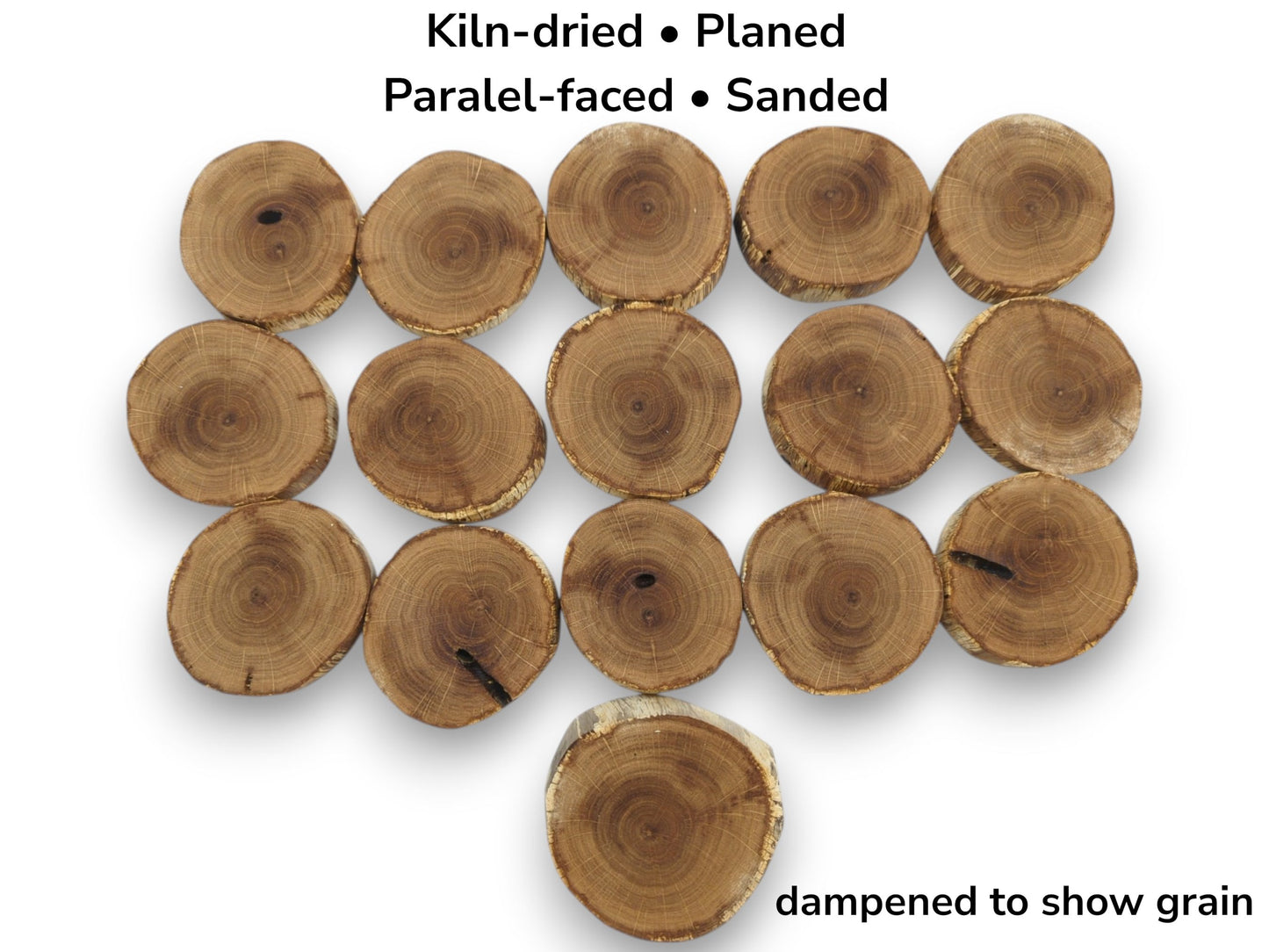 An overhead view of sixteen oak timber rounds arranged in rows on a white surface.