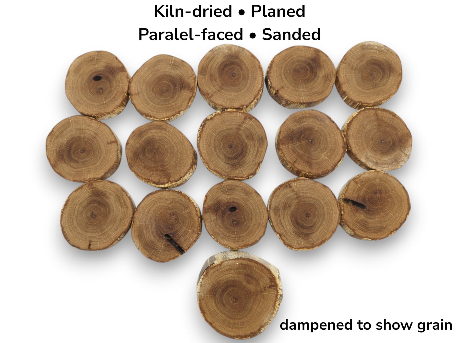An overhead view of sixteen oak timber rounds arranged in rows on a white surface.