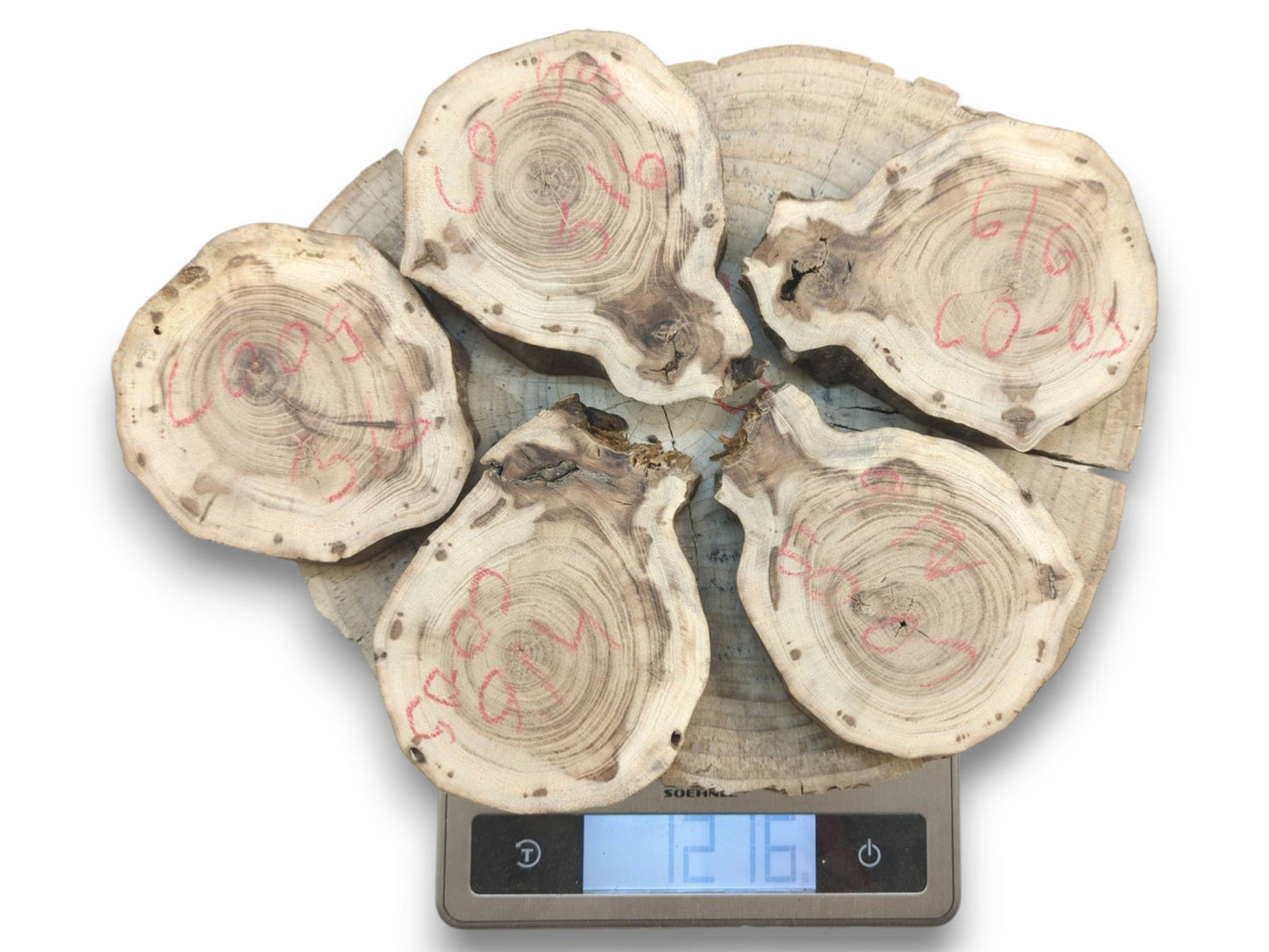 Five natural wood slices with red markings, displayed on a larger wood slab and scale.