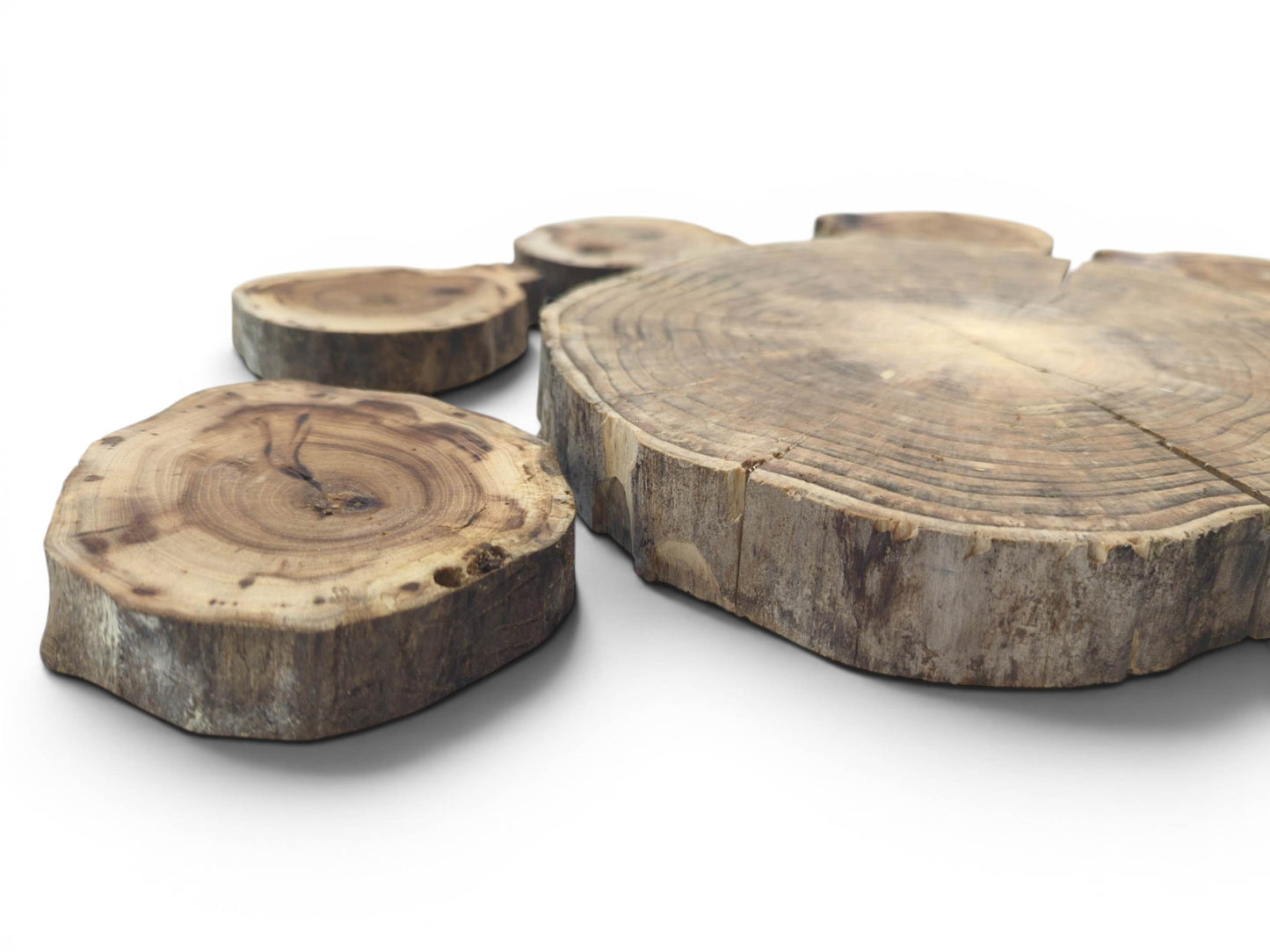 Four natural, untreated wood slices with visible growth rings and cracks on a white background.