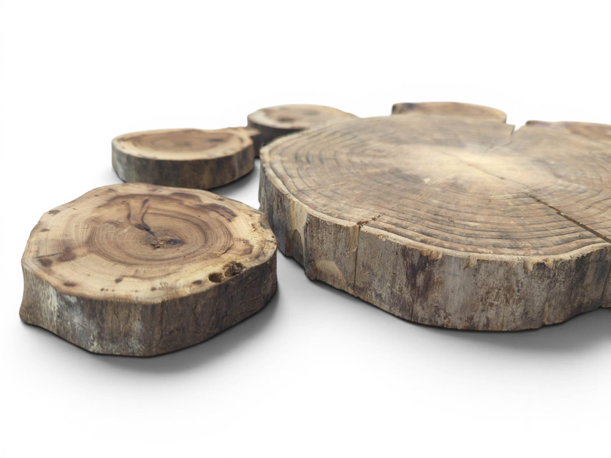 Four natural, untreated wood slices with visible growth rings and cracks on a white background.