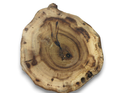 A single, untreated wood slice with visible growth rings, a dark crack, and natural bark edges.