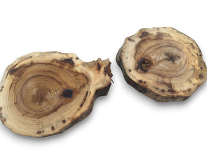 Two natural pine wood slices with visible growth rings, dark knots, and irregular bark edges.