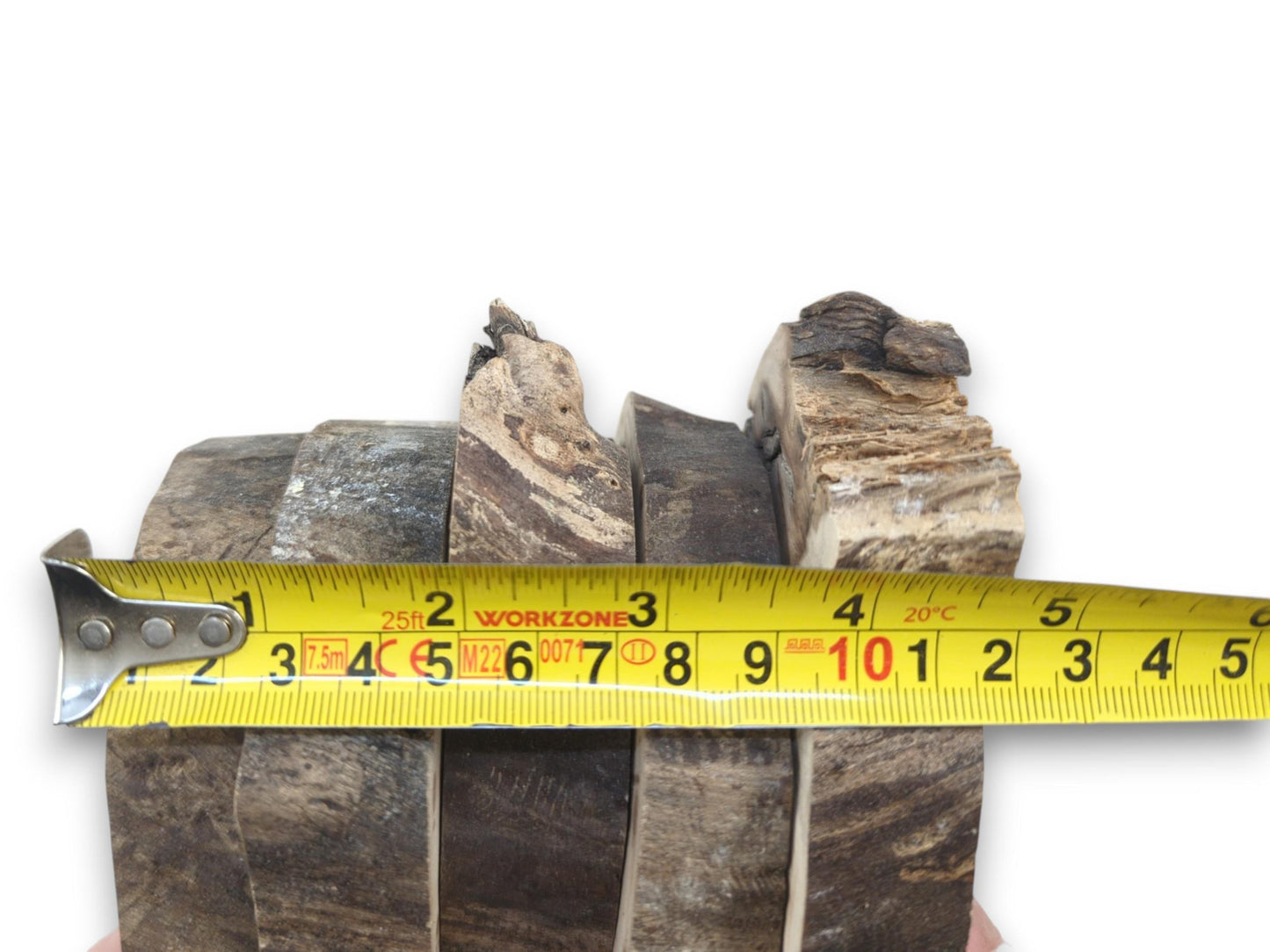 A tape measure shows the width of six untreated wood slices with natural bark edges.