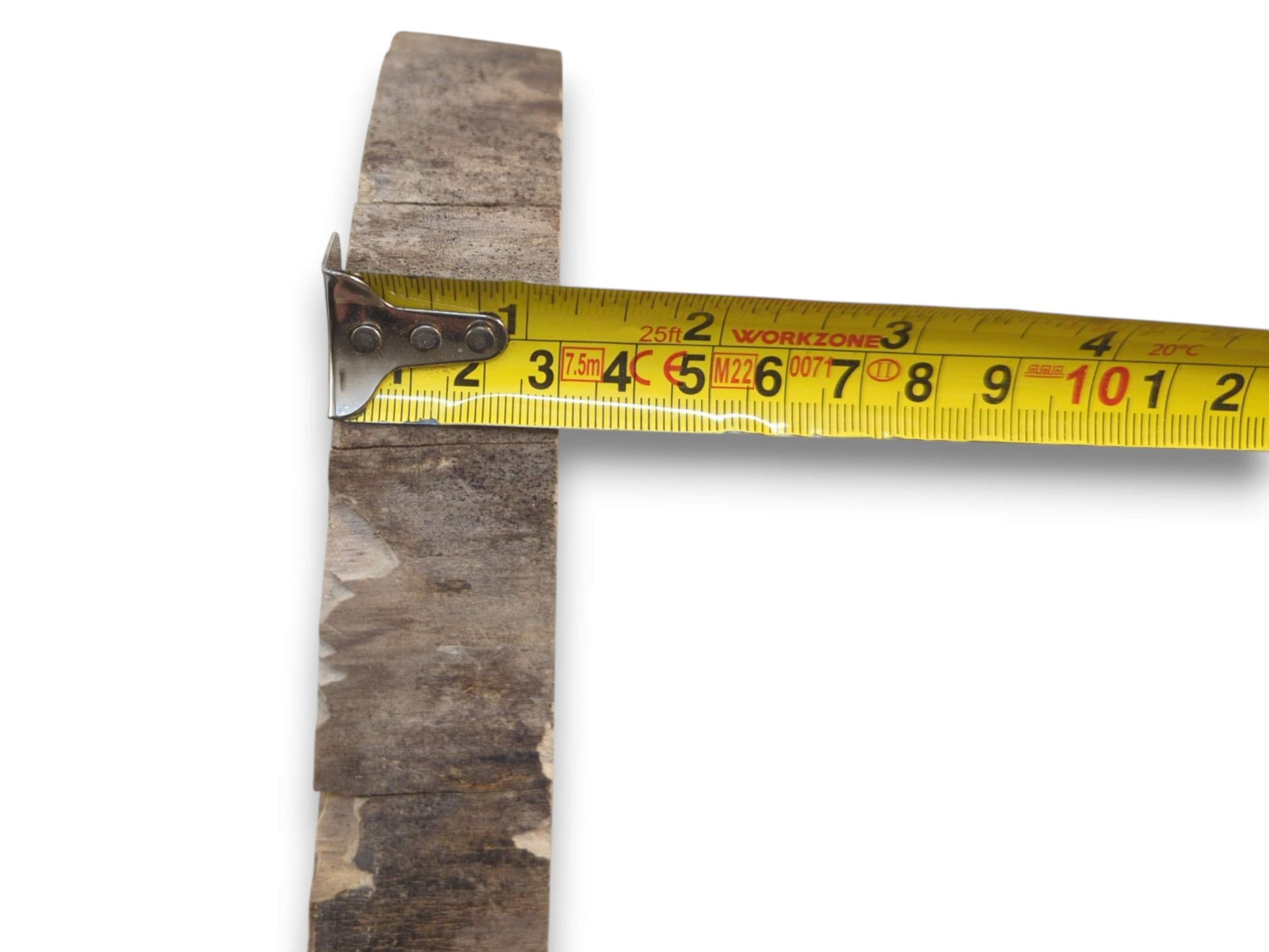 A tape measure shows the width of a rustic wood slice with natural bark edges.