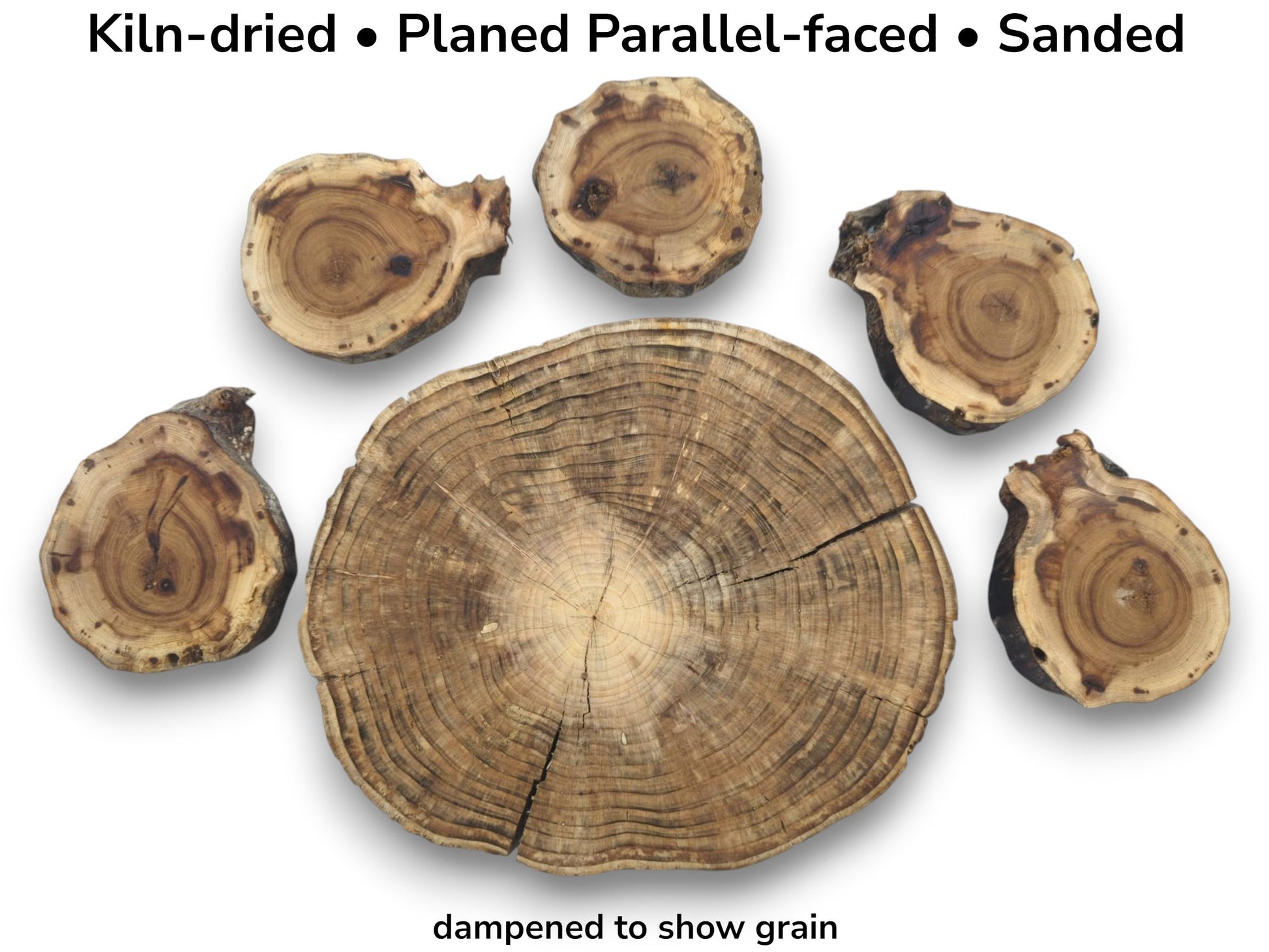 Six kiln-dried, planed, and sanded wood slices, one large and five smaller, showing grain.