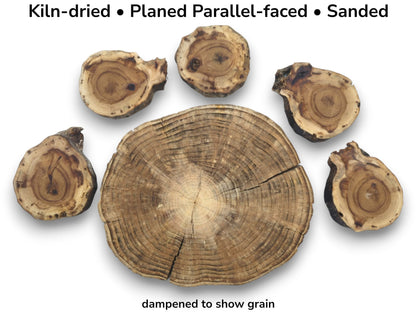 Six kiln-dried, planed, and sanded wood slices, one large and five smaller, showing grain.