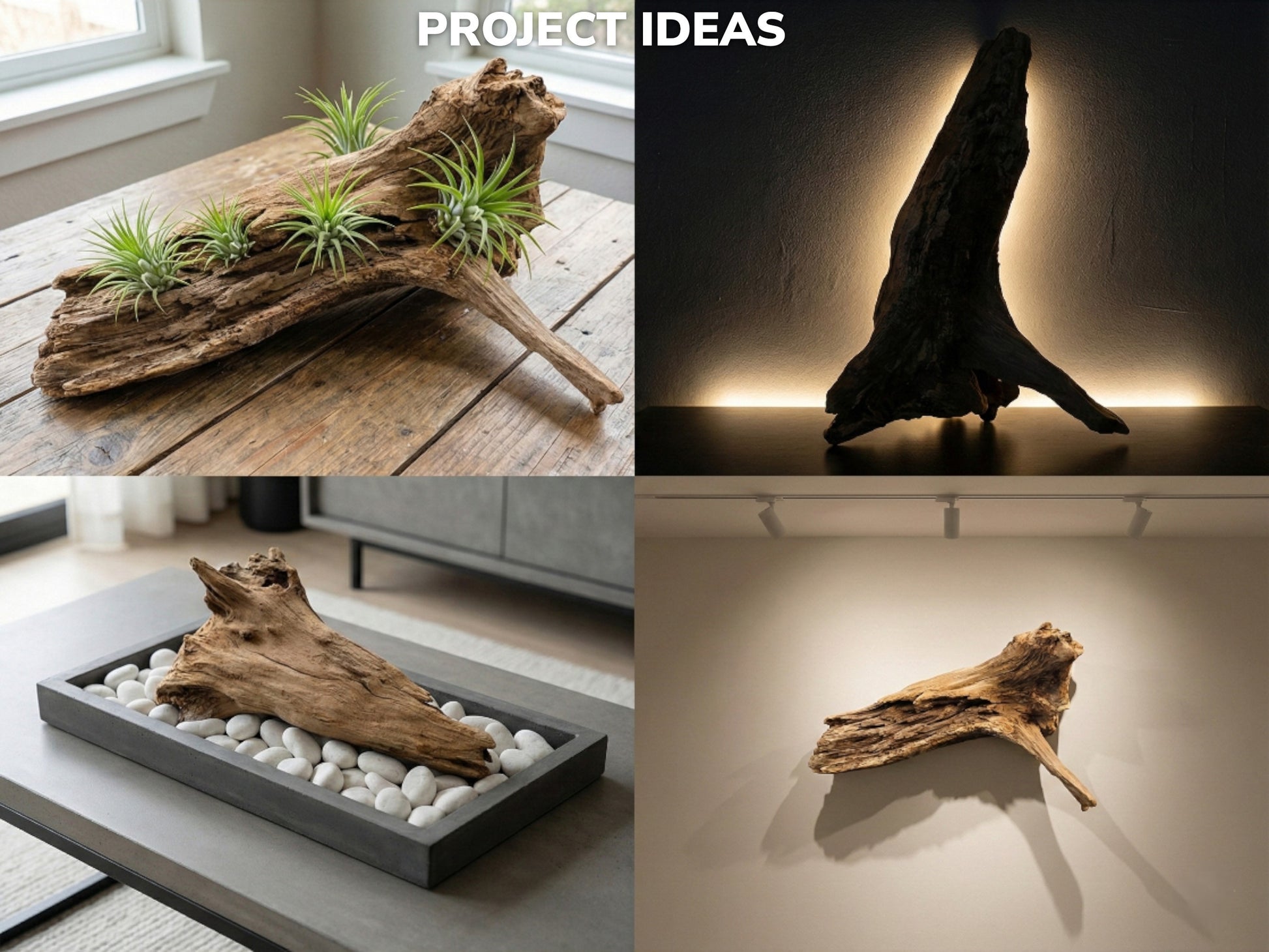 A single gnarled root shown four ways: with plants, silhouetted, among stones, and wall-mounted.