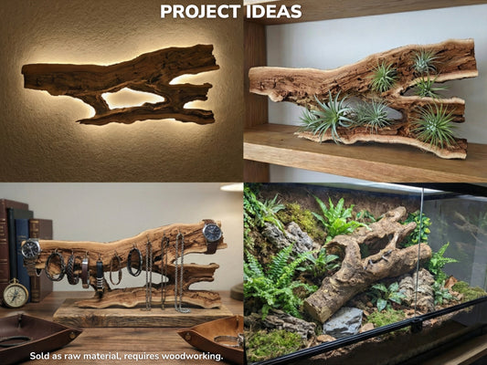 A collage shows a rugged, split timber piece as a light, planter, and jewelry holder.