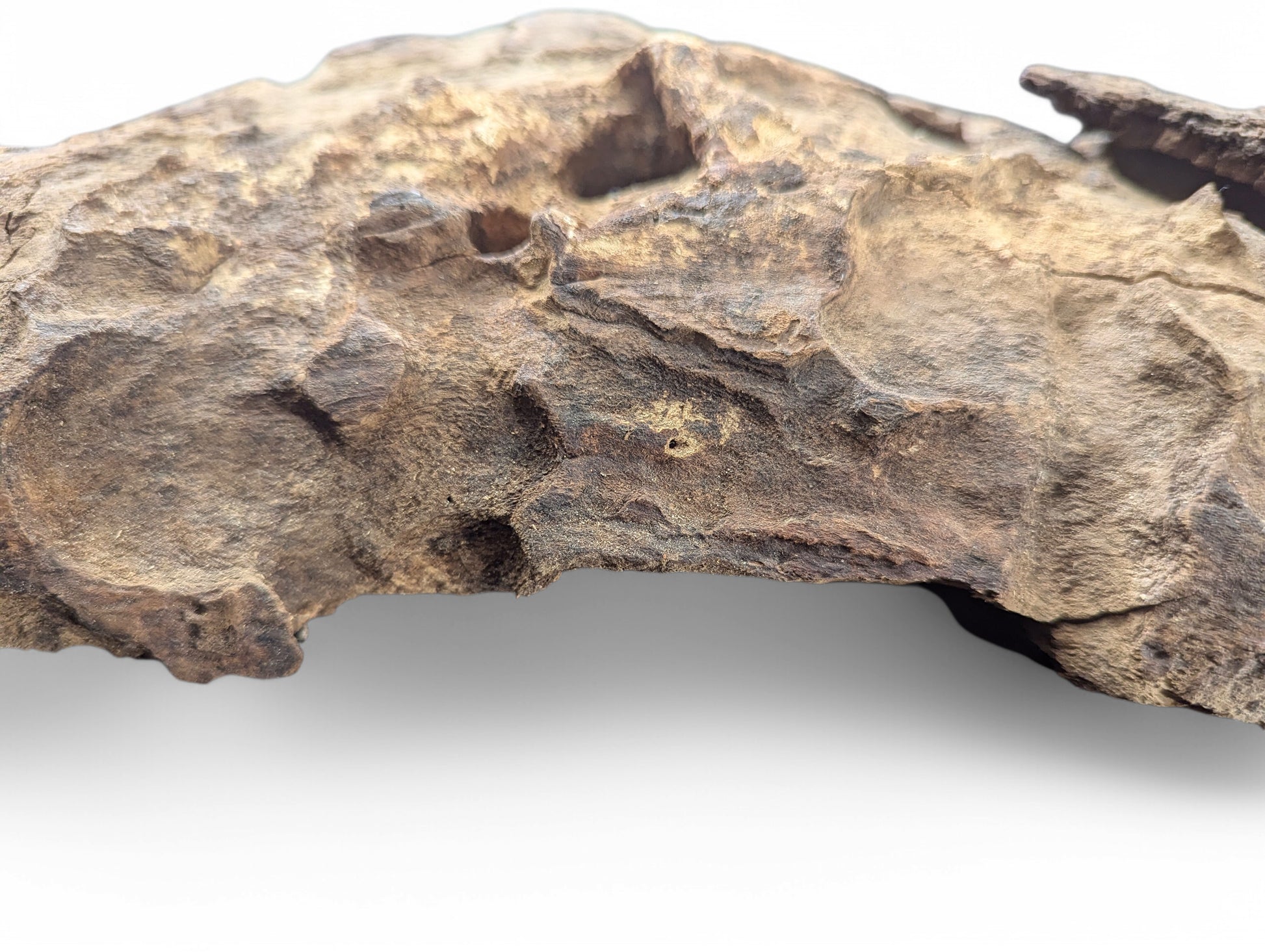 Natural wood blank featuring a deeply textured, rough brown surface with numerous crevices.