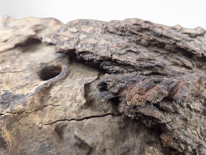 Rough, dark brown untreated wood blank featuring deep cracks, a prominent smooth-edged hole, and textured bark.