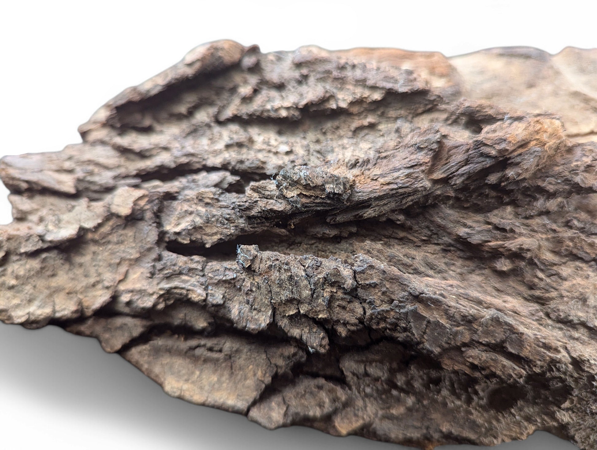 Irregular dark brown wood blank, displaying deeply textured, rough, aged bark and visible crevices.