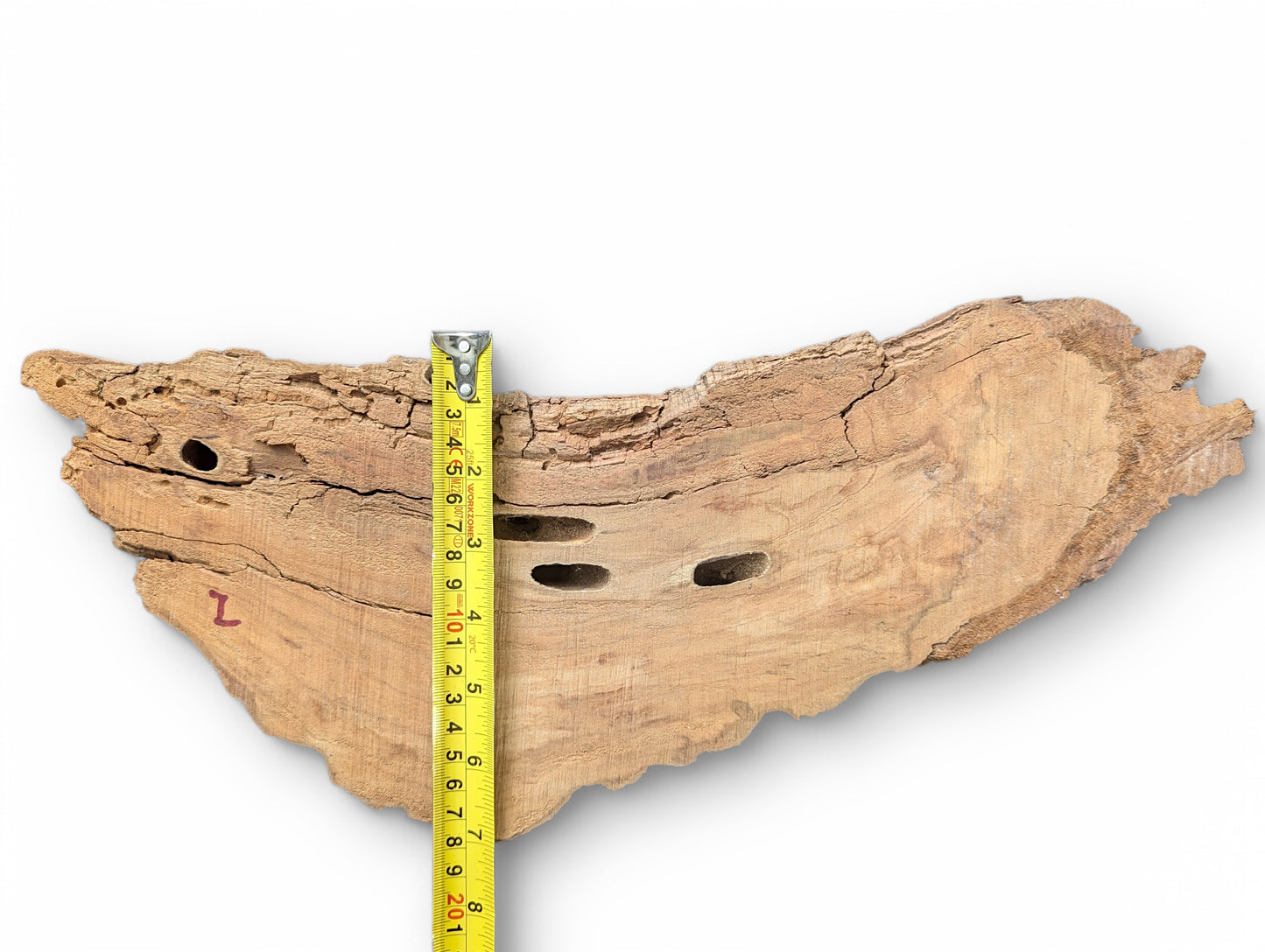 Rough, light brown wood piece, featuring deep cracks, three holes, a red 'L' mark, and tape measure.