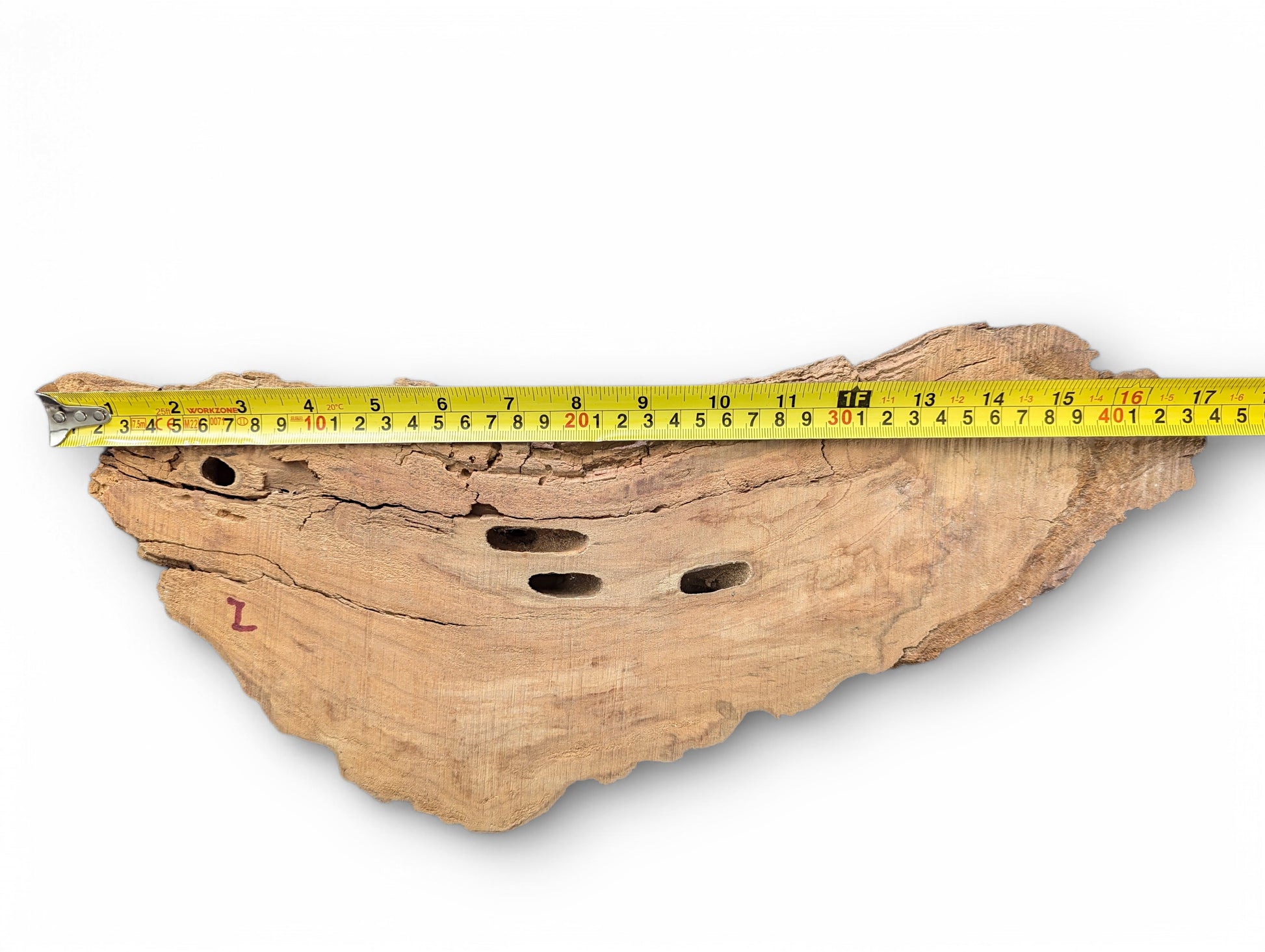 Untreated light brown wood blank, rough edges, deep cracks, three holes, a red L mark, and tape measure.
