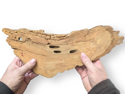 Hands holding an irregular light brown wood blank with rough texture, cracks, and multiple holes. Red L.