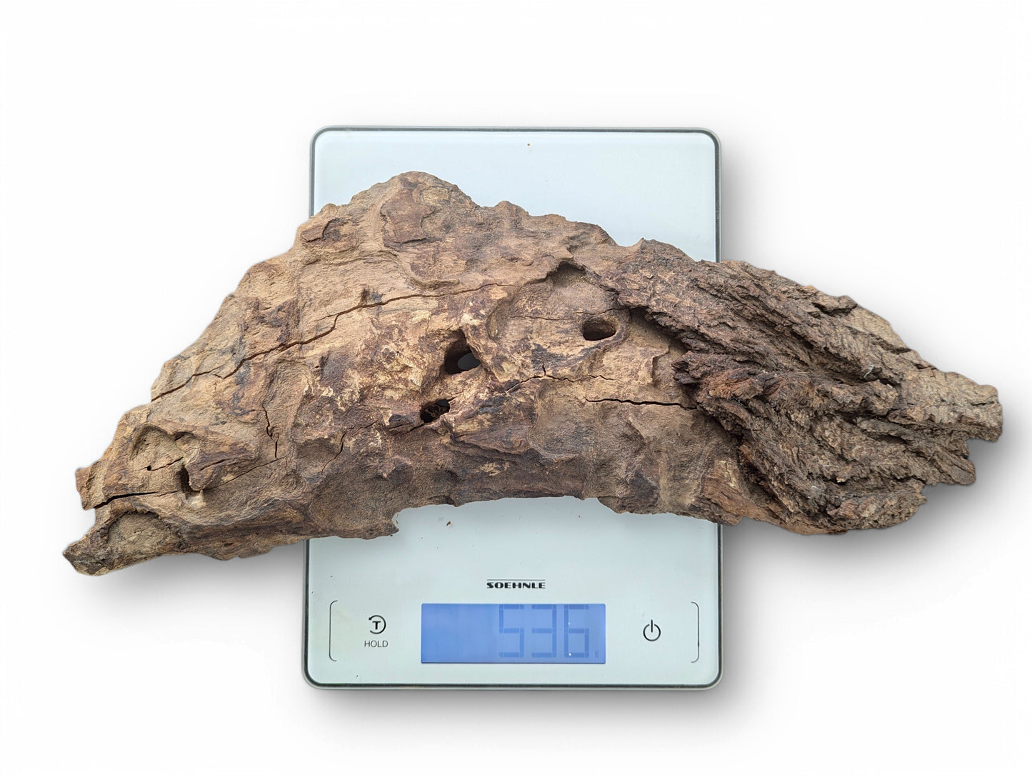Gnarled, dark brown natural wood, rough with cracks and holes, resting on a digital scale showing 536.