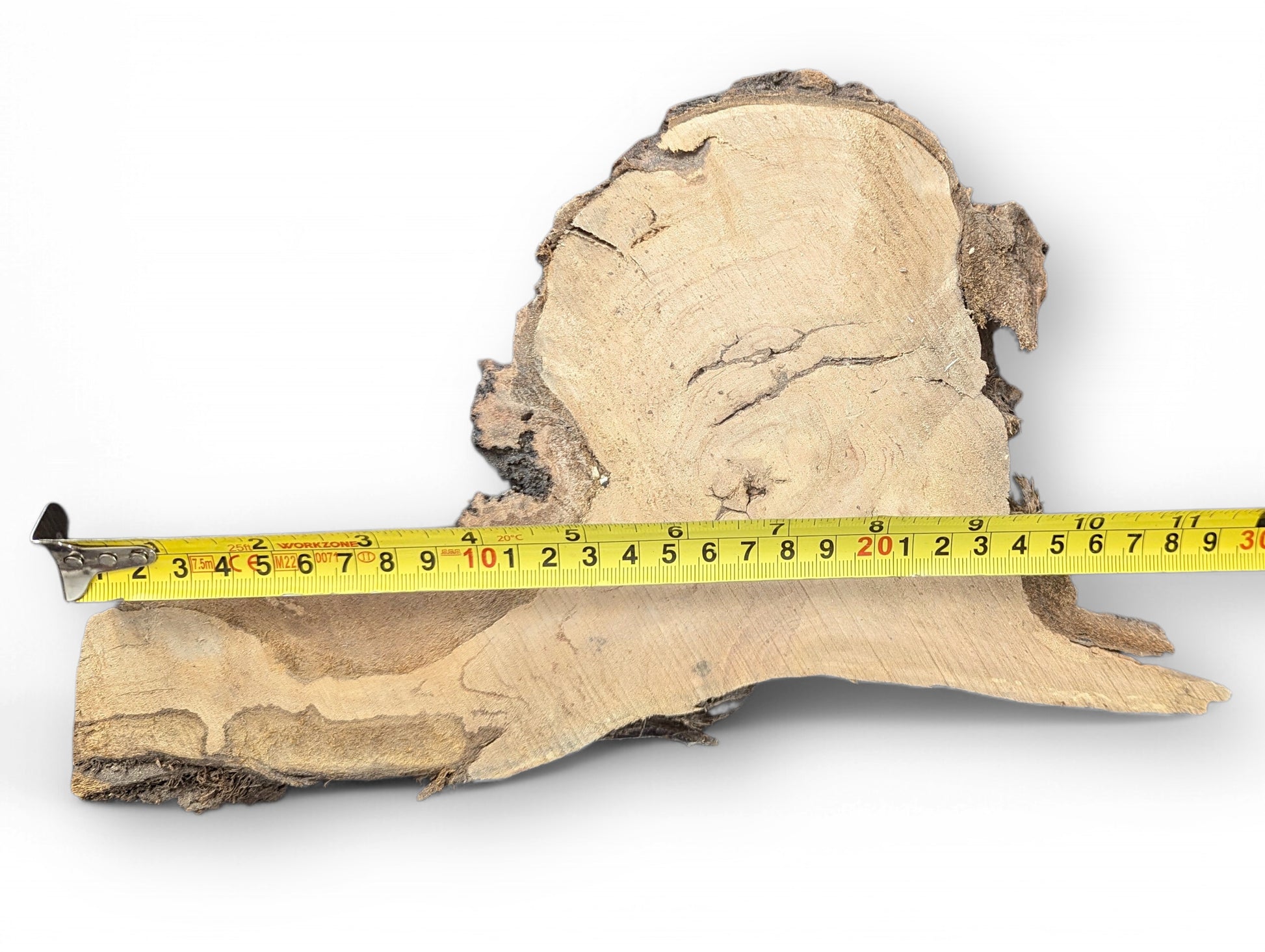 An irregular light brown wood blank, textured with rough dark bark, measured by a yellow tape.
