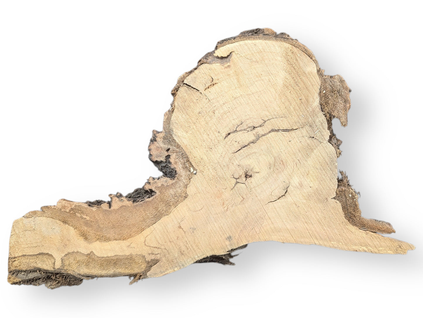 Untreated natural wood blank, irregularly shaped, featuring light brown wood grain and dark, rough bark.