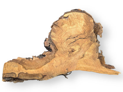 A single, irregular wood blank displays light brown grain and rough, dark brown bark, on white.