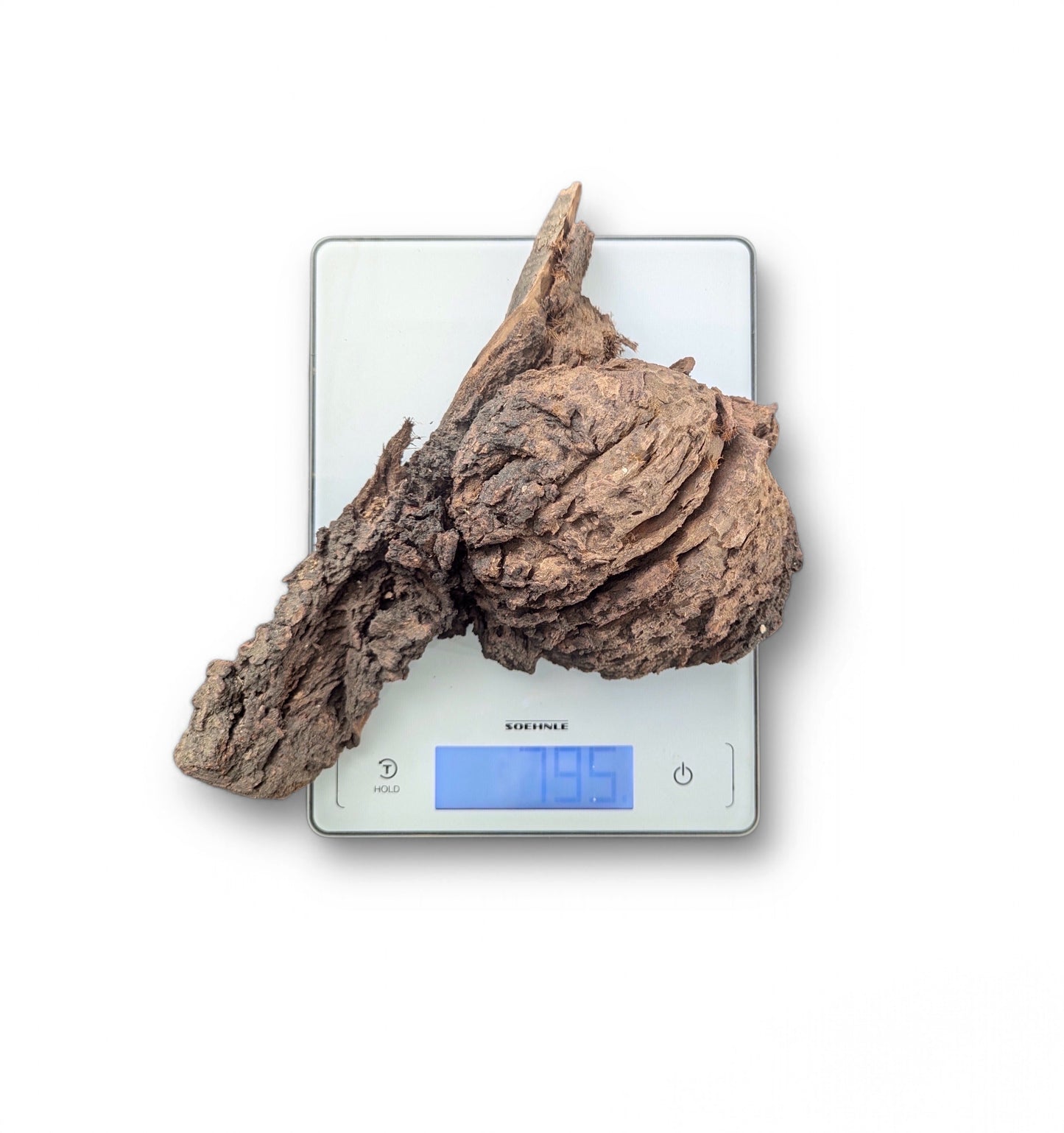 Uneven, textured dark brown natural wood blank on a white Soehnle digital scale displaying 79.5.