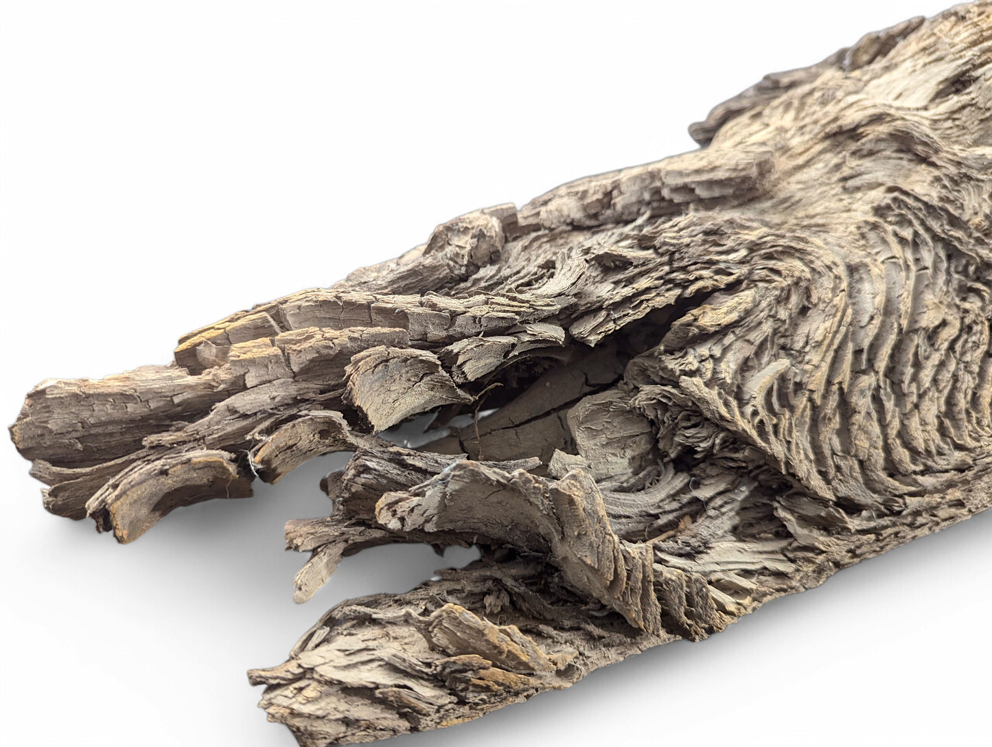 An irregular piece of dark grey wood displays complex, undulating bark texture with deep crevices and flakes.