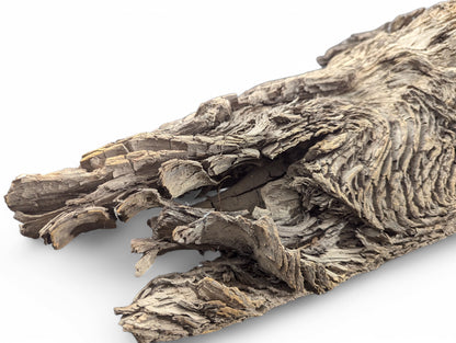 An irregular piece of dark grey wood displays complex, undulating bark texture with deep crevices and flakes.