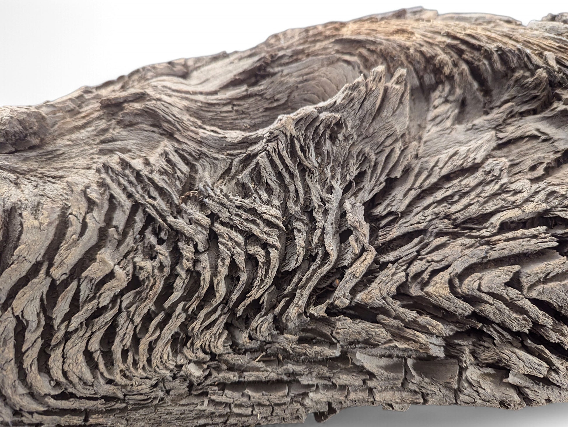 Close-up of an aged, grey-brown wood piece, showing deep, intricate furrows and layered, fibrous texture.