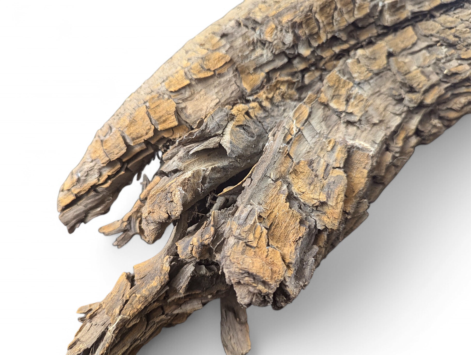 Gnarled, grey-brown wood displays a rough, intricate texture of ridges and deep cracks on a white background.