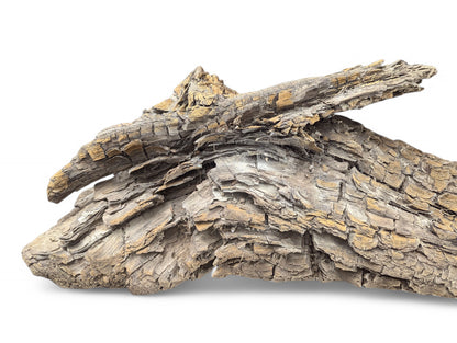 A weathered, irregular piece of grey-brown wood displays a rough, flaky texture with golden-brown details.