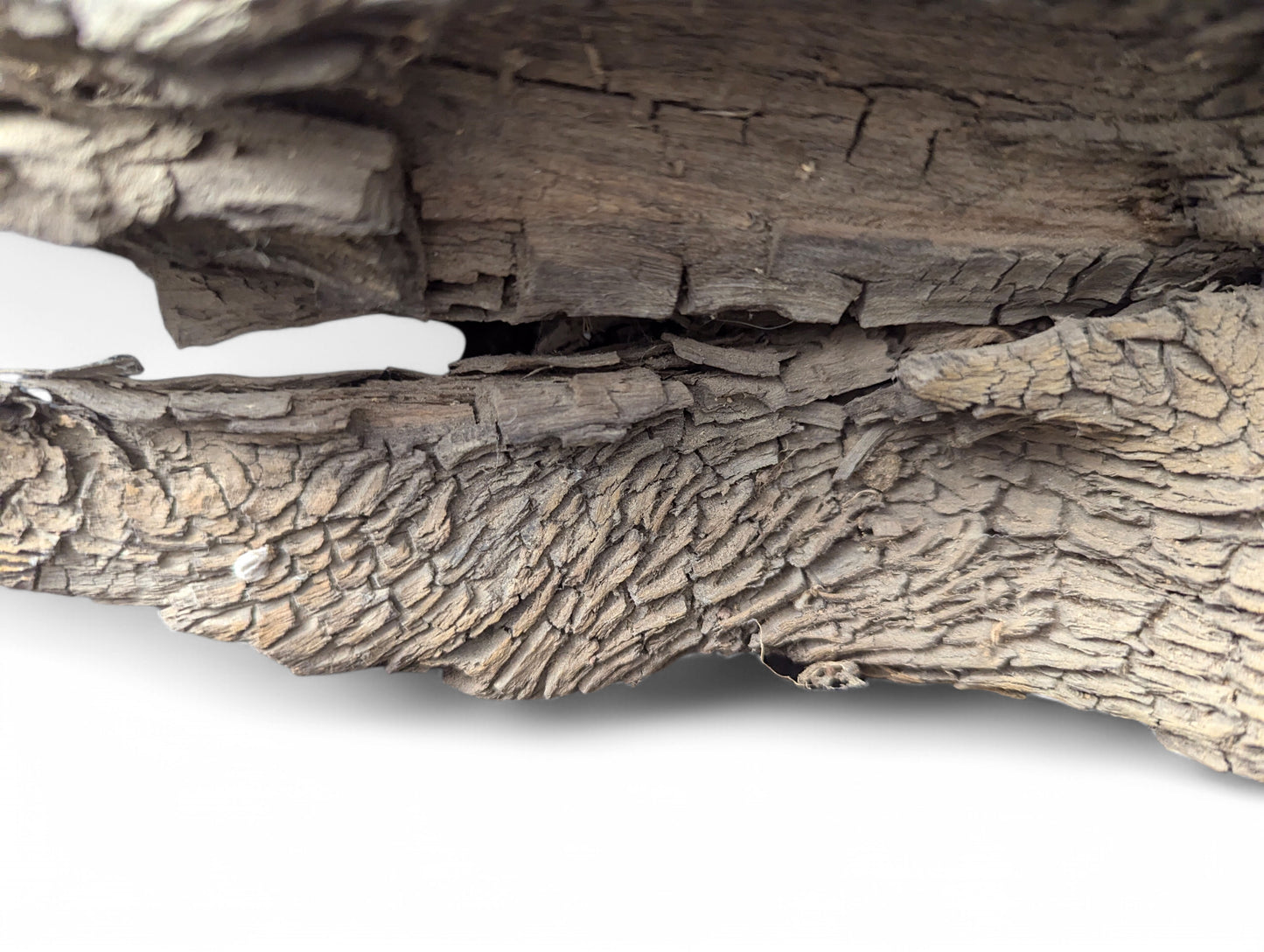 Weathered grey-brown wood features a deeply cracked upper section and a distinct, scaly texture below.