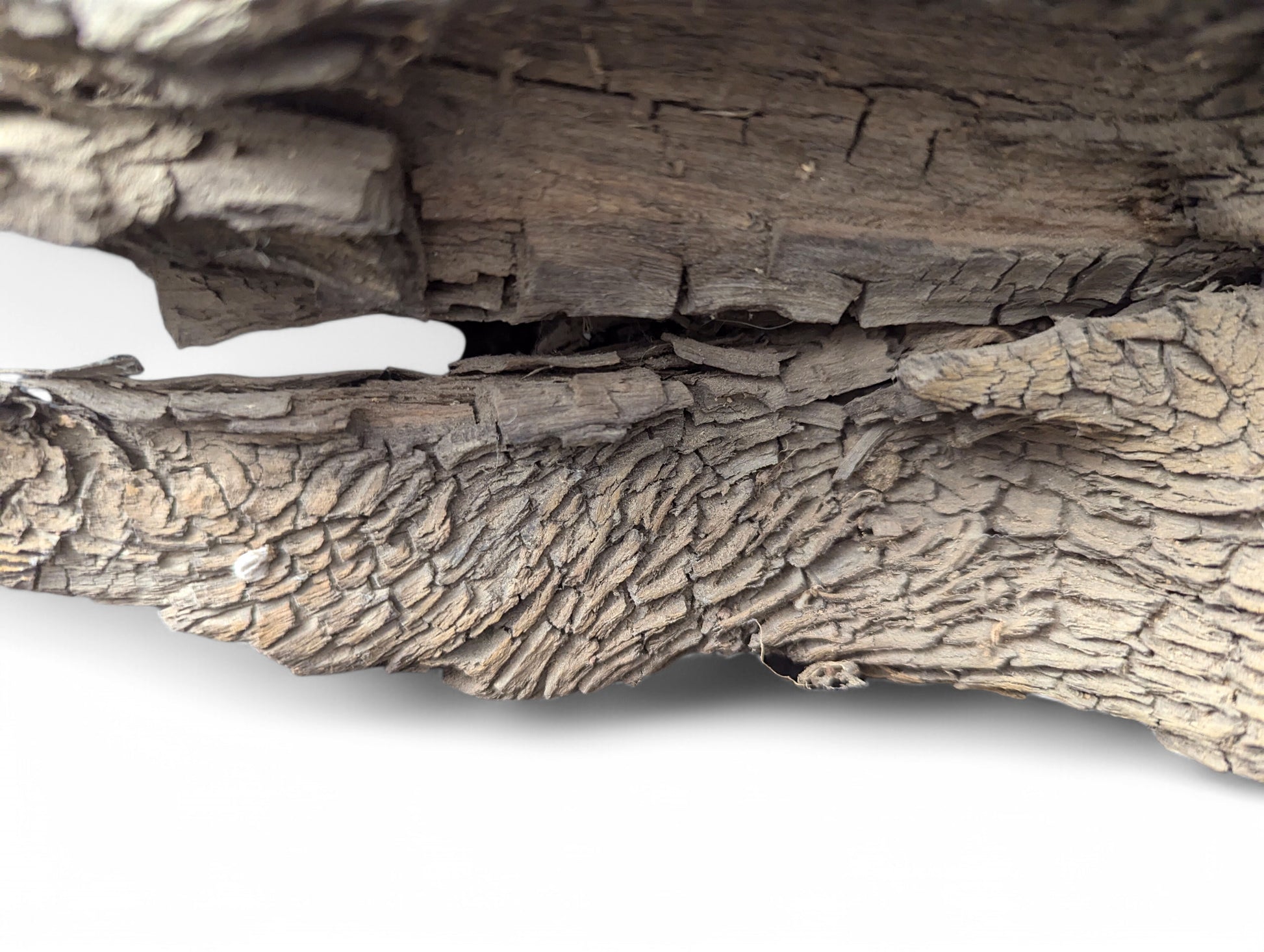 Weathered grey-brown wood features a deeply cracked upper section and a distinct, scaly texture below.